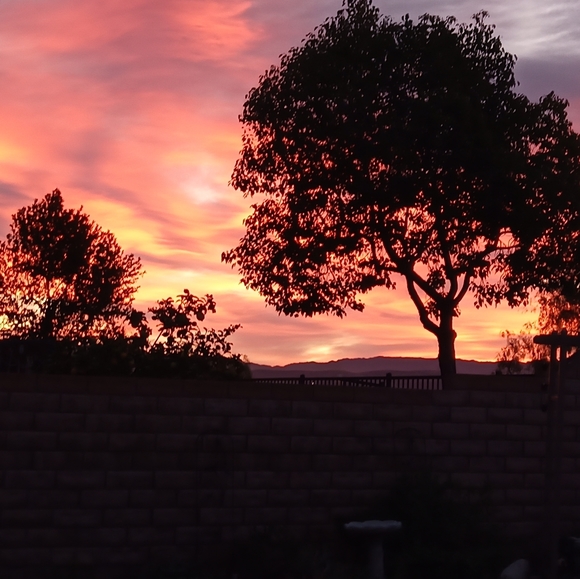 Meet your Posher, Jeanette - Picture 4 of 7